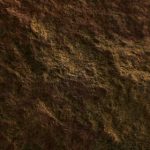 推荐几款可以免费观看动画片的软件有哪些? ft17z1jh3u