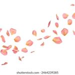 推荐几个优质美剧在线观看网站,畅享精彩剧集! mwt9crh0