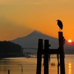 推荐几款优质韩漫网址,畅享精彩漫画世界 ybwqchdu